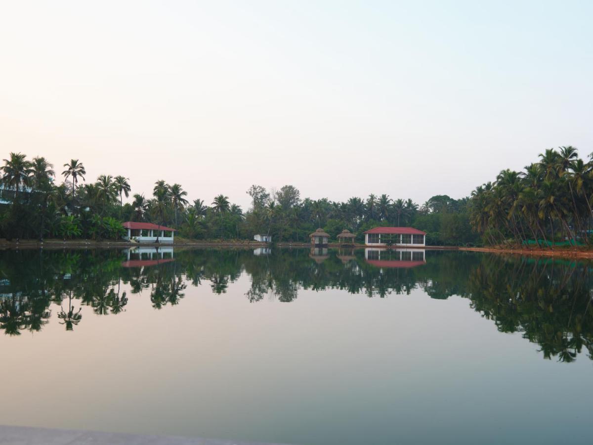 Veda5 Wellness Retreat & Spa Gamle Goa Eksteriør bilde